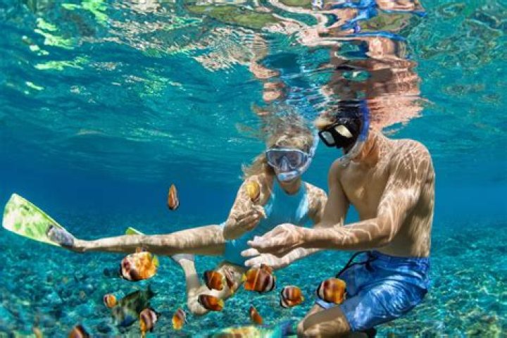 24 Best Places to Go Snorkeling in the World
