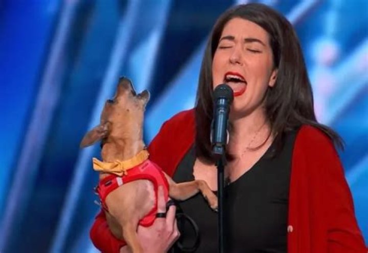 America’s Got Talent Pam and Casper the Singing Chihuahua