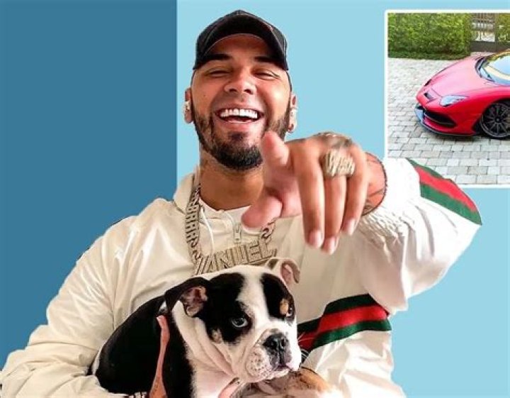Anuel AA Pets - Celebrity Pets