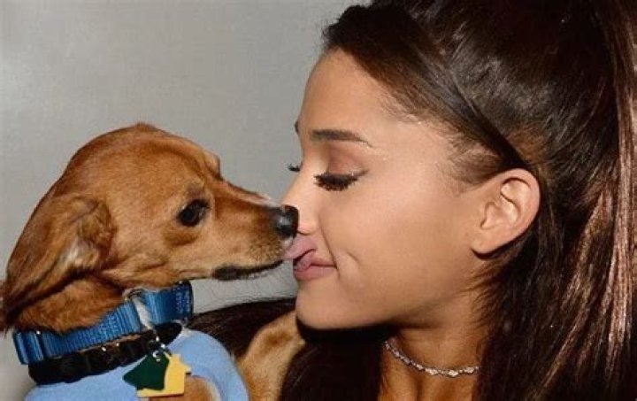 Ariana Grande Pets - Celebrity Pets