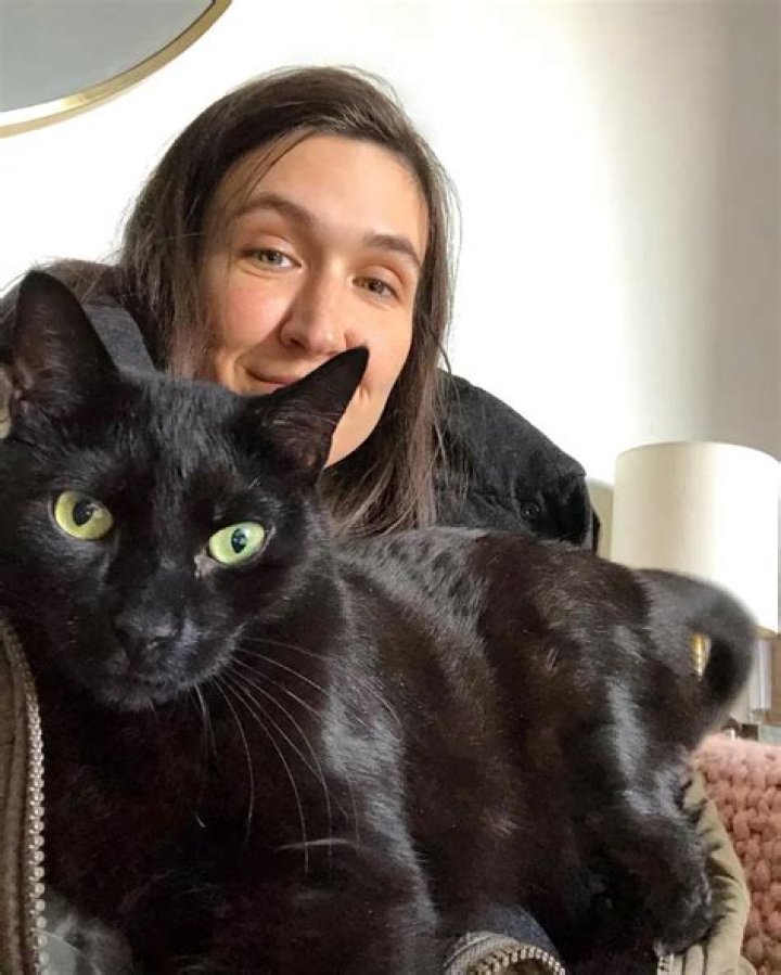 Ashley Gavin Pets - Celebrity Pets