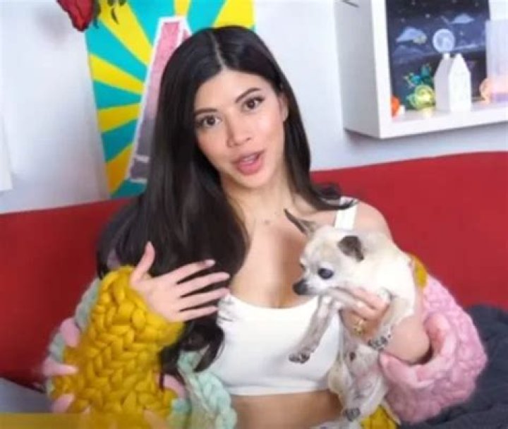 AzzyLand Pets - Celebrity Pets