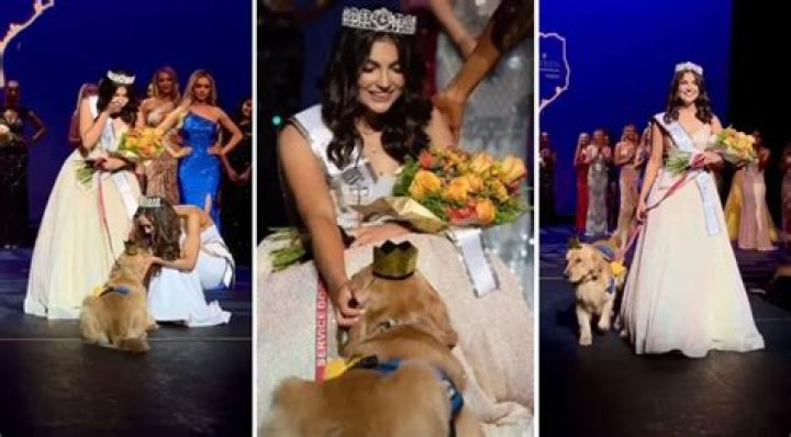 Brady the Service Dog Won the Miss Dallas Teen Pageant!