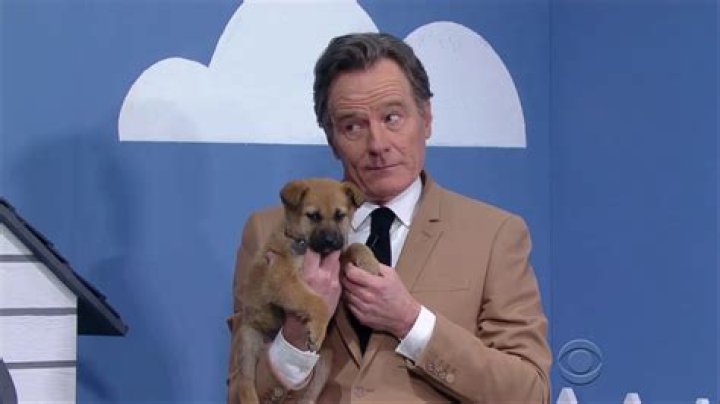 Bryan Cranston is a Liar (but only to get rescue dogs adopted)