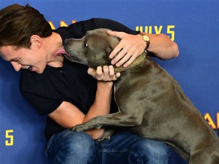 Celebrities Who Are In Love With Their Pets