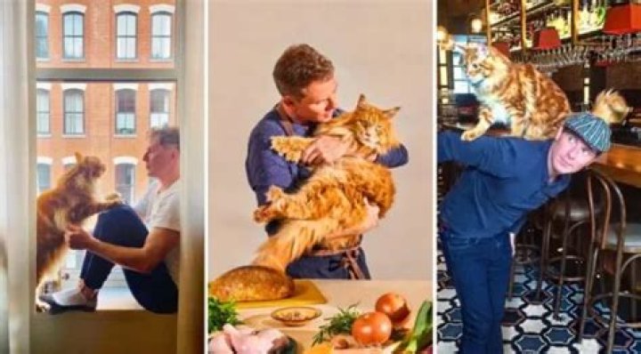 Chef Bobby Flay’s Famed Cat, Nacho, Has Passed Away – ‘Absolute Broken Heart’