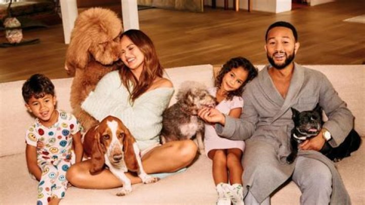 Chrissy Teigen and John Legend Finally Launch Their Own Dog Food Brand