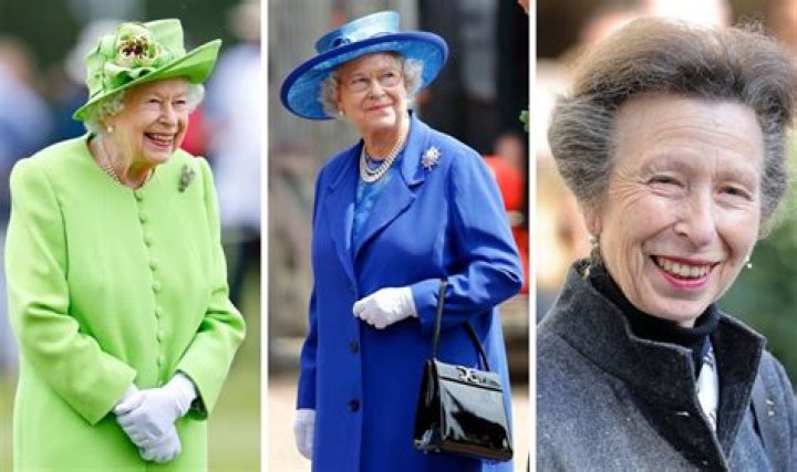 Conchita, a Chihuahua Dubbed The Queen of Miami, Inherits a $12.4 Million Fortune