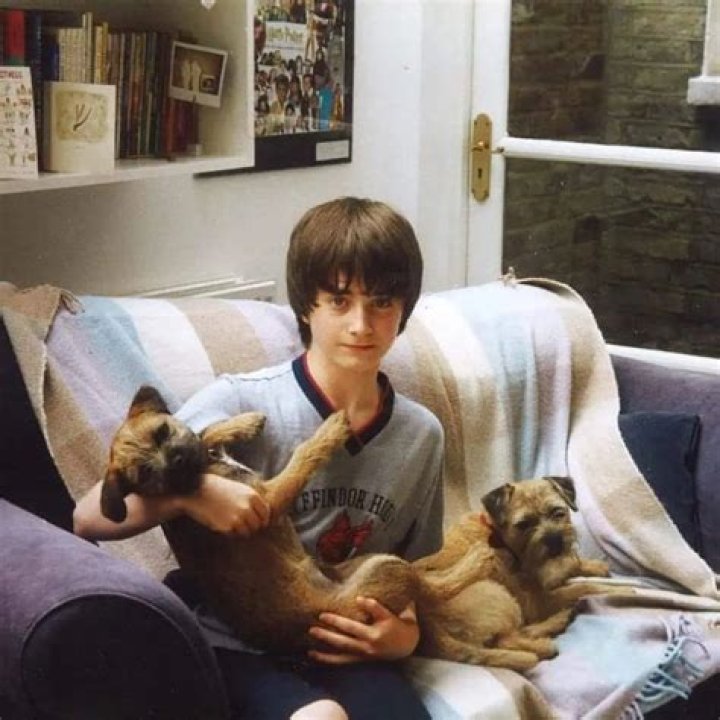Daniel Radcliffe Pets - Celebrity Pets