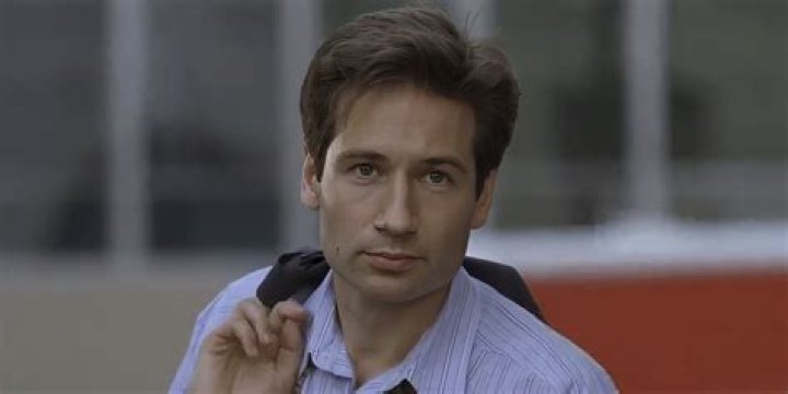 David Duchovny's thoughts on aliens after working on the X Files is devastating