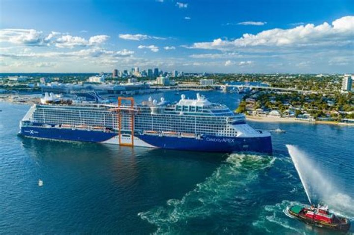 Disembarkation: Everything You Need to Know