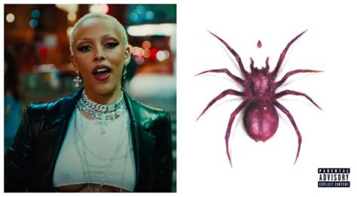 Doja Cat comes clean over backlash after strange videos 'insulted' her fans