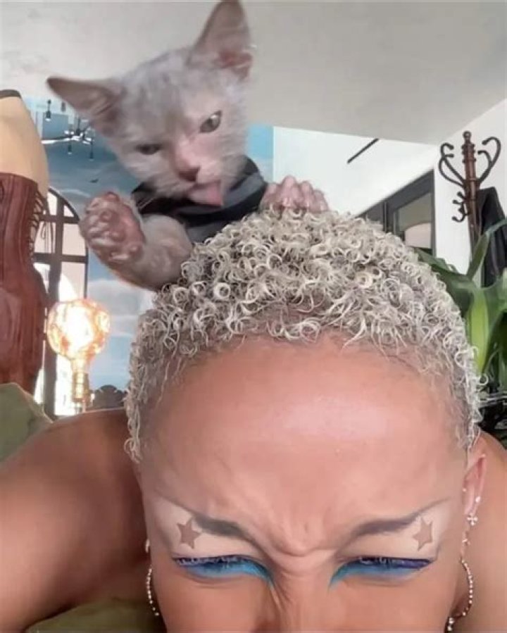 Doja Cat Revealed Her New Pet “Werewolf” Lykoi Cat Named Froderick “Frodo” Frankenstein