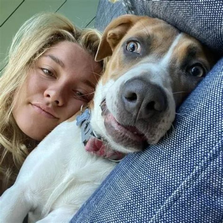 Florence Pugh Pets - Celebrity Pets