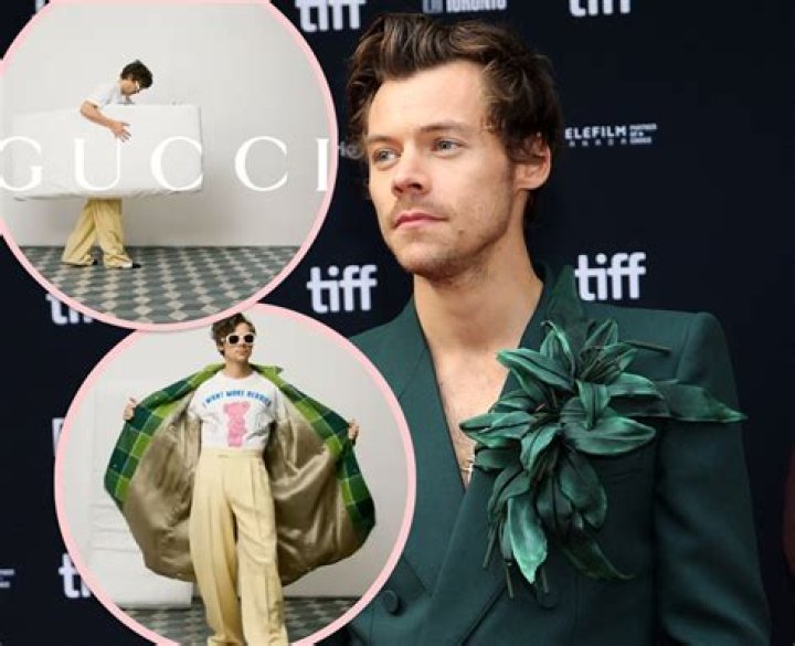 Harry Styles' viral Gucci dress moment slammed by TV star - 'no sacrifice'