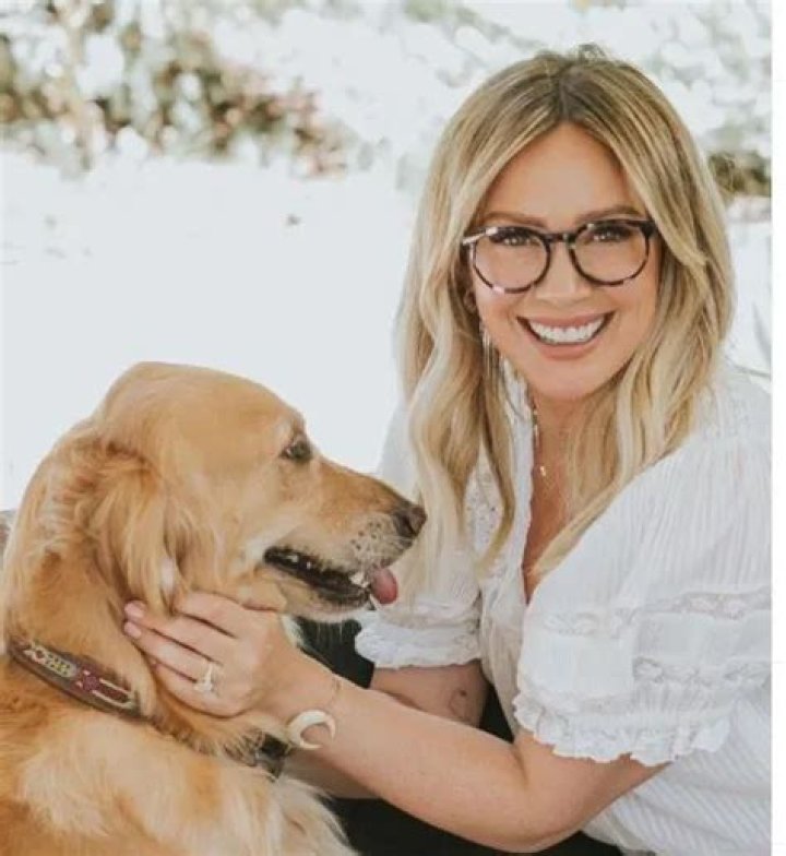 Hilary Duff Pets - Celebrity Pets