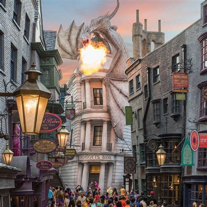 Hogwarts Wizards Flock to Orlando’s New Diagon Alley