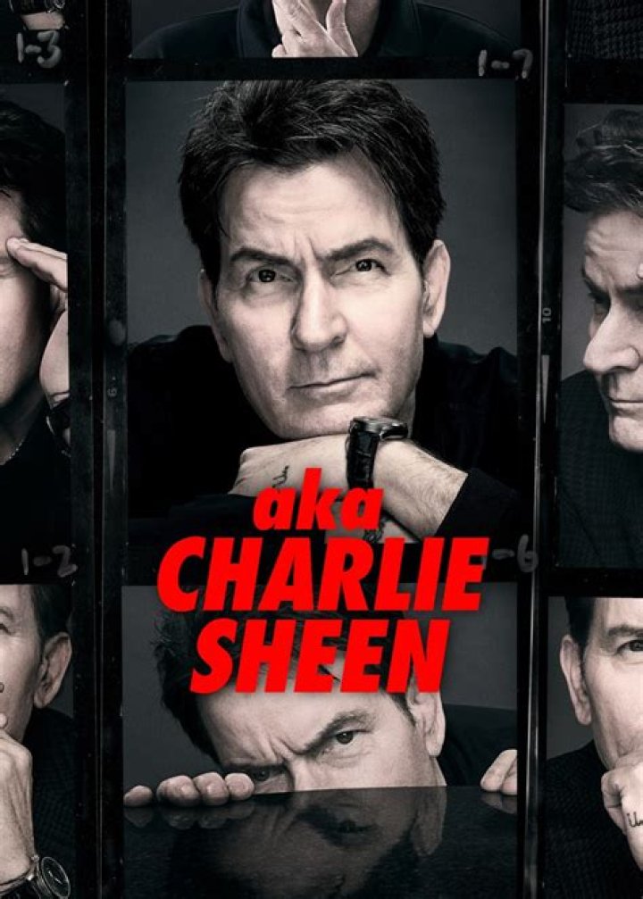 Is Charlie Sheen’s Career in Movies Over?
