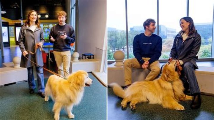 Jennifer Garner’s Therapy Dog, Birdie, Got a Promotion To Work at Children’s Hospital Los Angeles