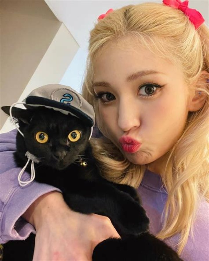 JEON SOMI Pets - Celebrity Pets