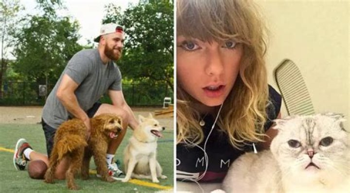 Jeremy Swift Pets - Celebrity Pets