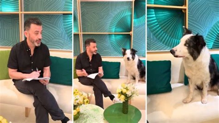 Jimmy Kimmel Rehearses Oscars Jokes With Messi, Dog Actor From ‘Anatomy of a Fall’ and Has a Ruff Time