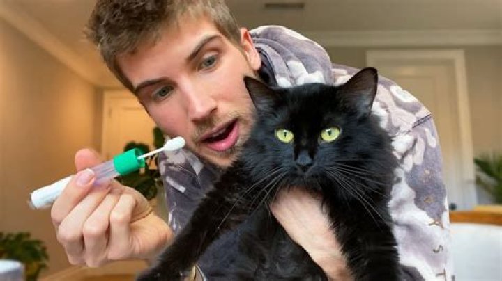 Joey Graceffa Pets - Celebrity Pets