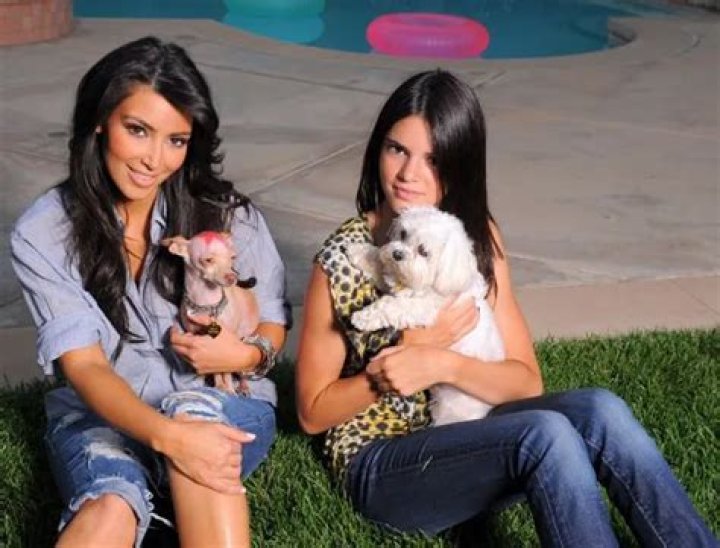 Kim Kardashian Pets - Celebrity Pets