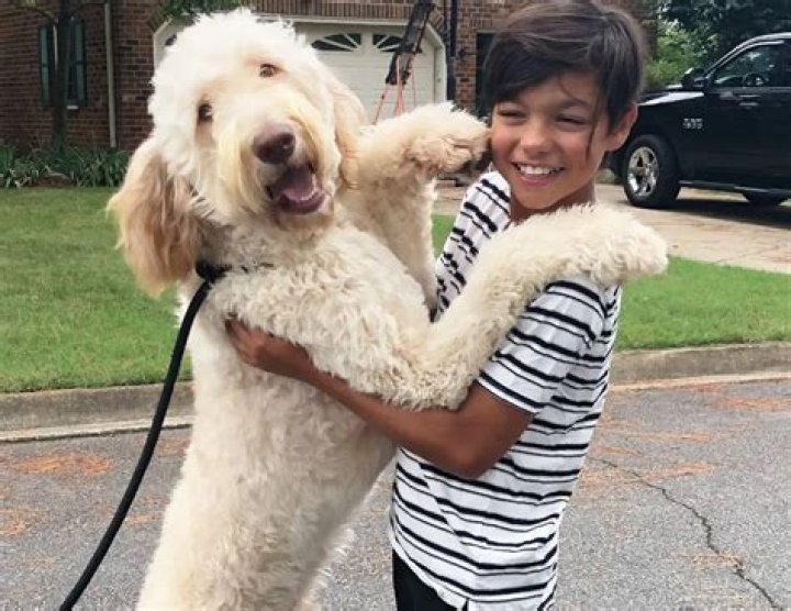 Malachi Barton Pets - Celebrity Pets