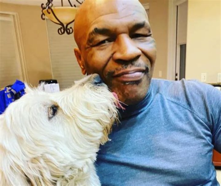 Mike Tyson Pets - Celebrity Pets