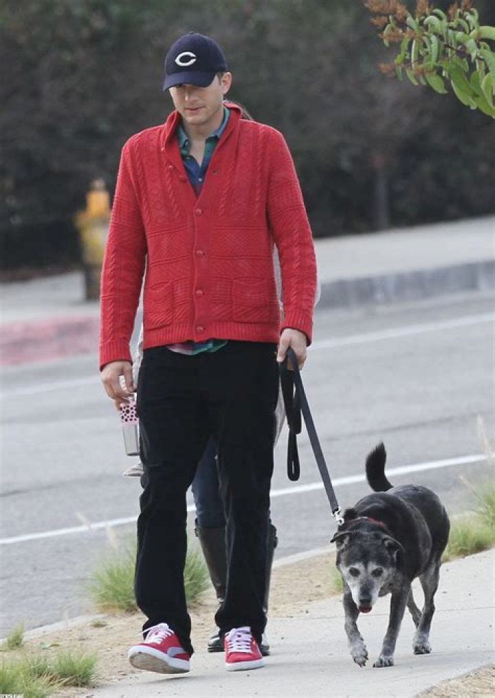 Mila Kunis Pets - Celebrity Pets