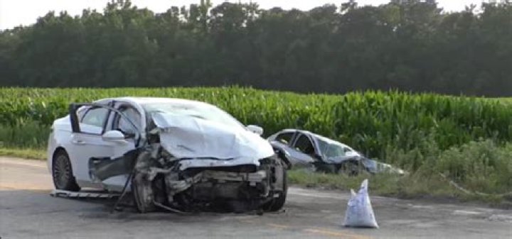 Obituary: Julia Vandentoorn Accident Michigan, Family And Bio