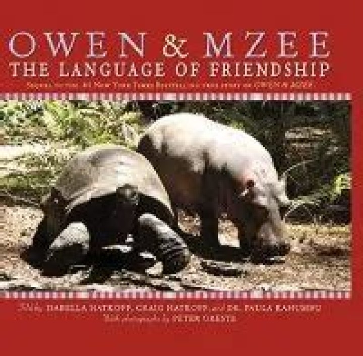 Owen the hippo and Mzee the tortoise: A one-of-a-kind friendship
