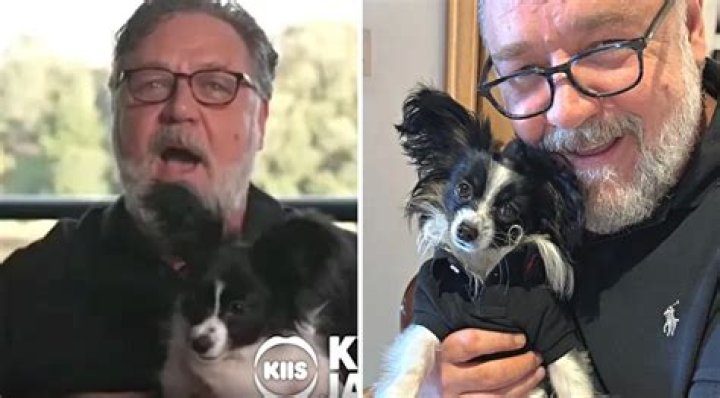 Russell Crowe Shows off Ezekiel, His New Papillion Puppy, Who Was Delivered by Private Jet