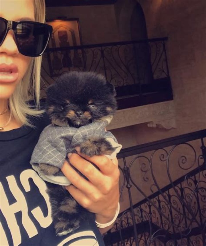 Sofia Richie Pets - Celebrity Pets