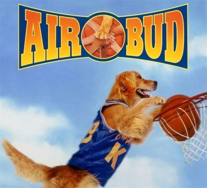 The Story of “Air Bud” and Buddy the Basketball-Playing Golden Retriever