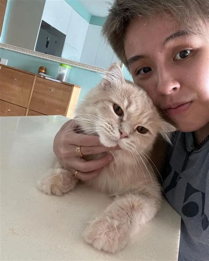 Toh Ee Wei Pets - Celebrity Pets