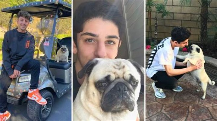 YouTube Star Faze Rug Pays Tribute to Bosley, His Beloved Pug Who Passed Away