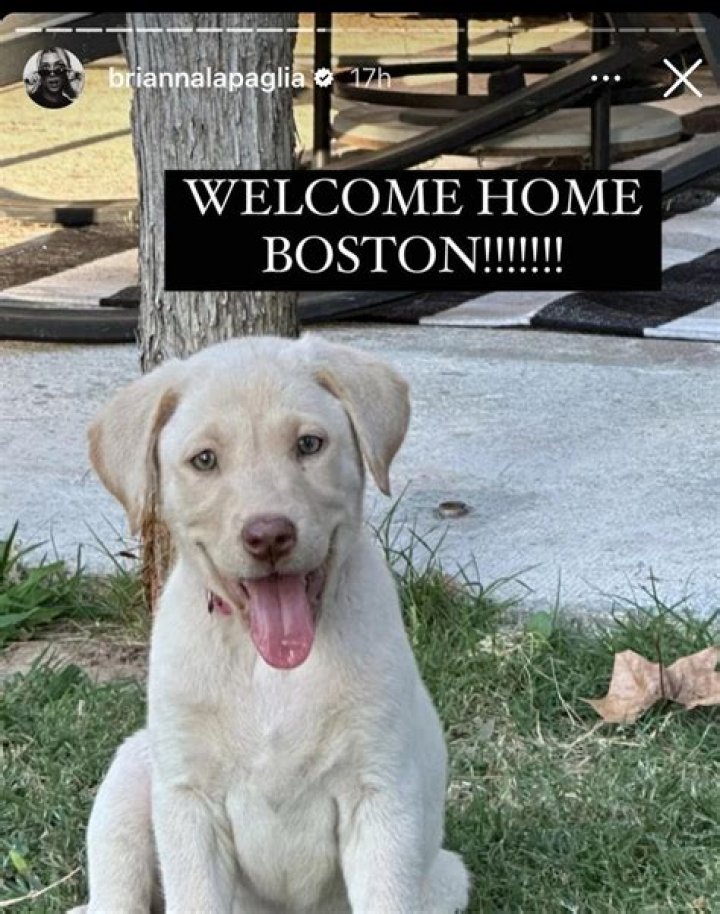 Zach Bryan Pets - Celebrity Pets